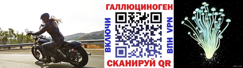 Купить где  Салаир  Псилоцибиновые грибы ЛСД 