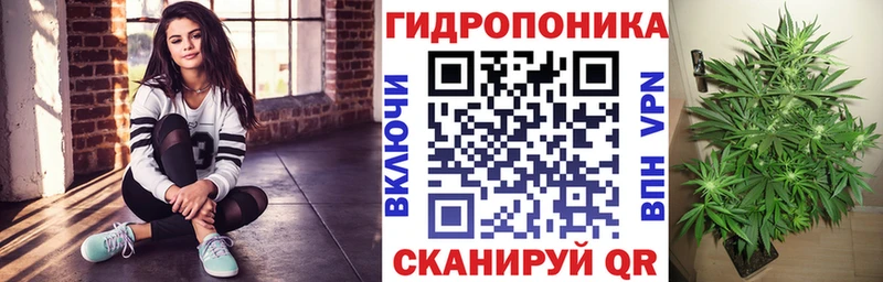 Купить закладки  Салаир  Канабис конопля 